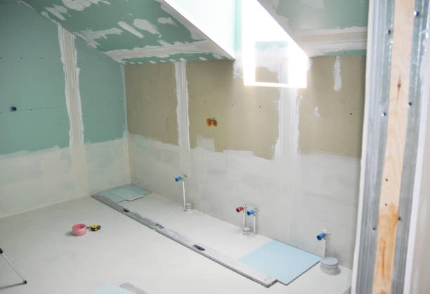 Best Basement Mold Removal  in Badin, NC
