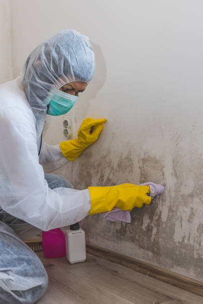 Best Post-Remediation Verification Testing  in Badin, NC