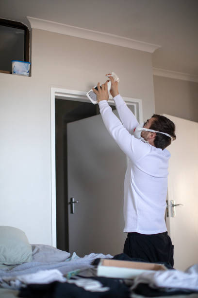 Best Real Estate Mold Inspection  in Badin, NC