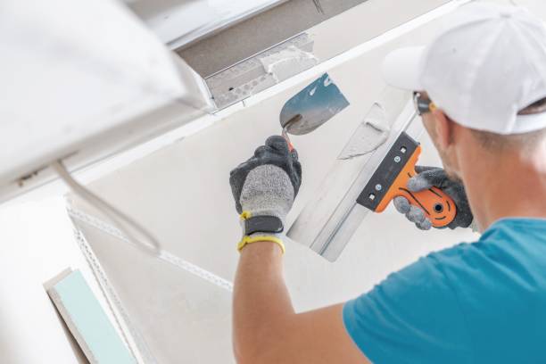 Badin, NC Mold Removal Company